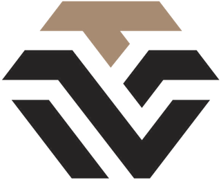 Wisdom Technosoft